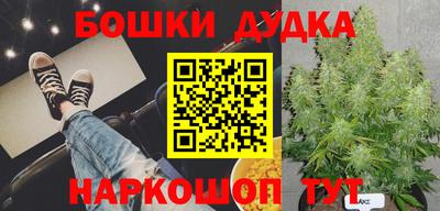Альфа ПВП Канаш